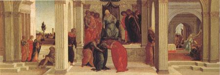 Filippino Lippi Three Scenes from the Story of Esther Mardochus (mk05) oil painting image